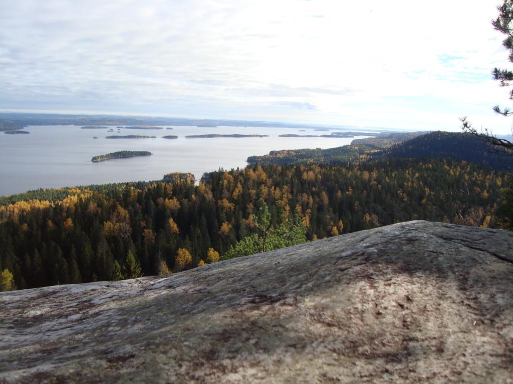 Koli Freetime Cottages Ahmovaara Rom bilde