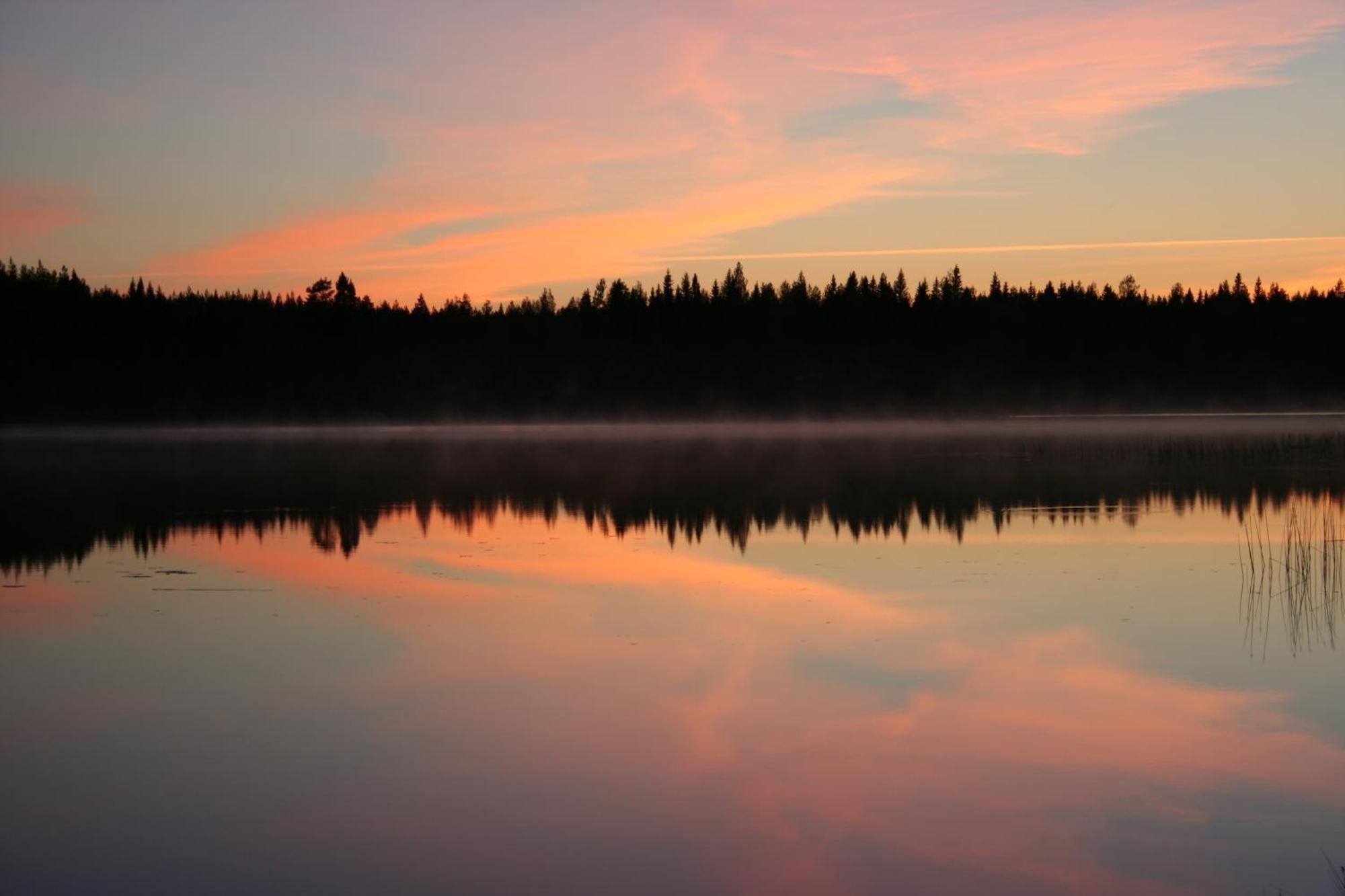 Koli Freetime Cottages Ahmovaara Rom bilde