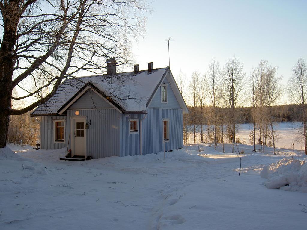 Koli Freetime Cottages Ahmovaara Eksteriør bilde