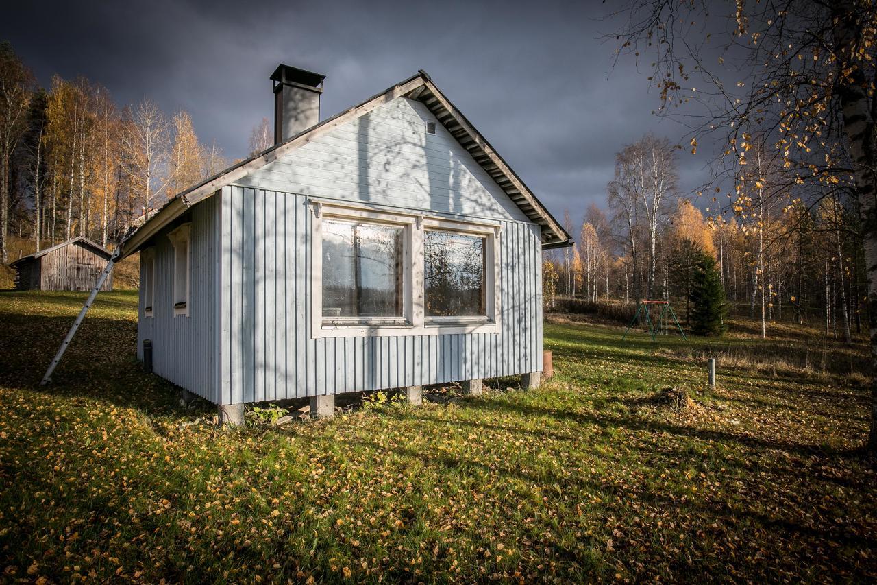 Koli Freetime Cottages Ahmovaara Eksteriør bilde